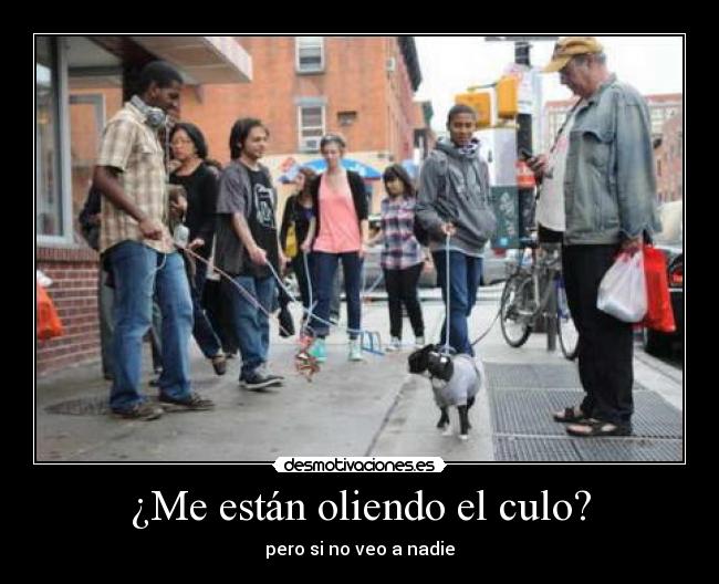 ¿Me están oliendo el culo? -