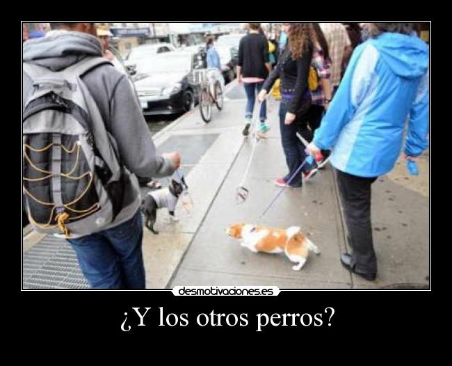 ¿Y los otros perros? -