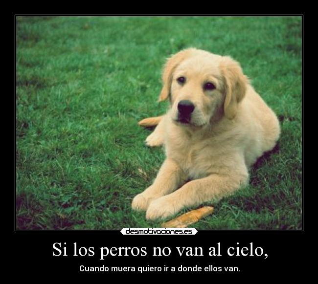 Si los perros no van al cielo, -