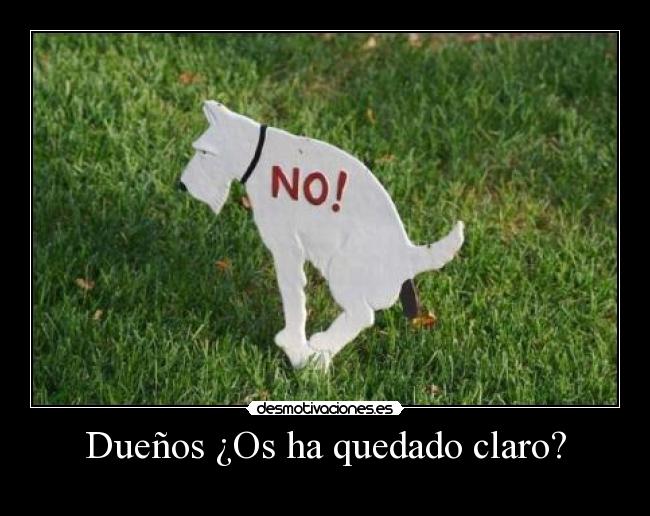 Dueños ¿Os ha quedado claro? - 