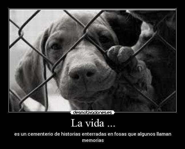 La vida ... -