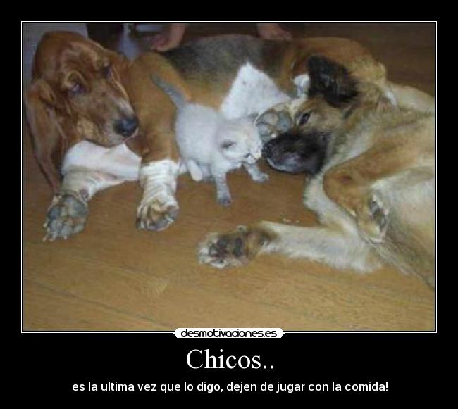 Chicos.. - es la ultima vez que lo digo, dejen de jugar con la comida!