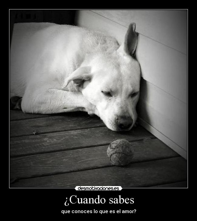 ¿Cuando sabes - 