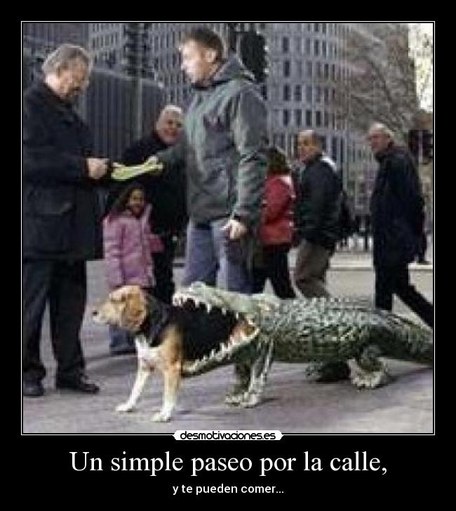 Un simple paseo por la calle, - y te pueden comer...