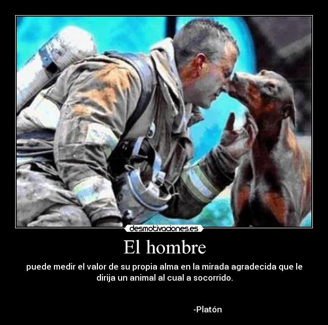 El hombre - puede medir el valor de su propia alma en la mirada agradecida que le
dirija un animal al cual a socorrido.
                                                         
                                                                      
                                           -Platón