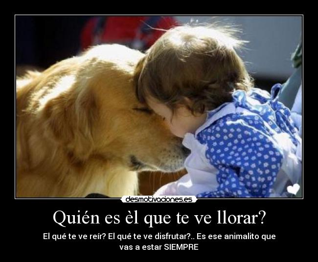 Quién es èl que te ve llorar? - El qué te ve reír? El qué te ve disfrutar?.. Es ese animalito que vas a estar SIEMPRE