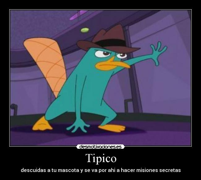 Tipico - 