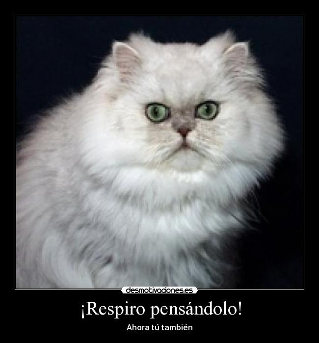 ¡Respiro pensándolo! - Ahora tú también