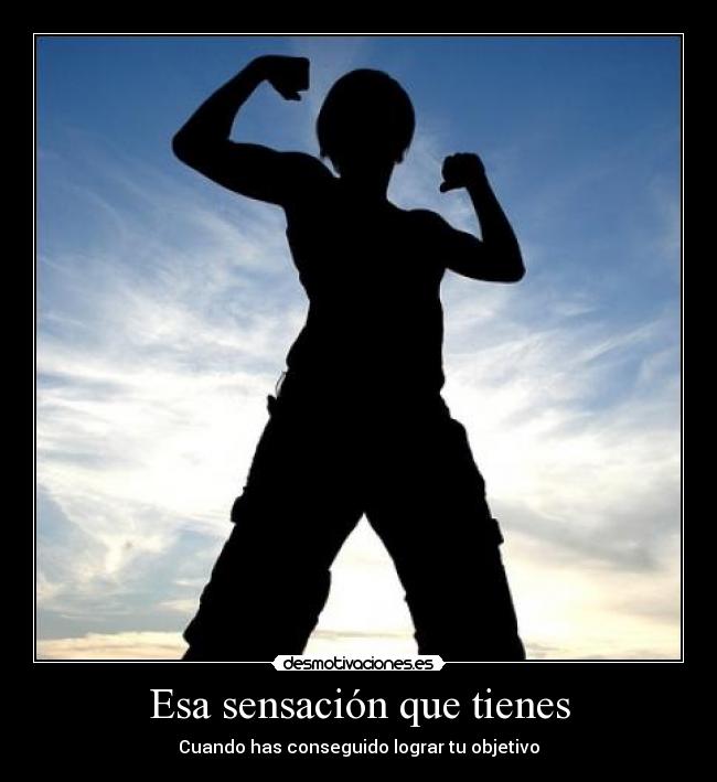 Esa sensación que tienes - Cuando has conseguido lograr tu objetivo