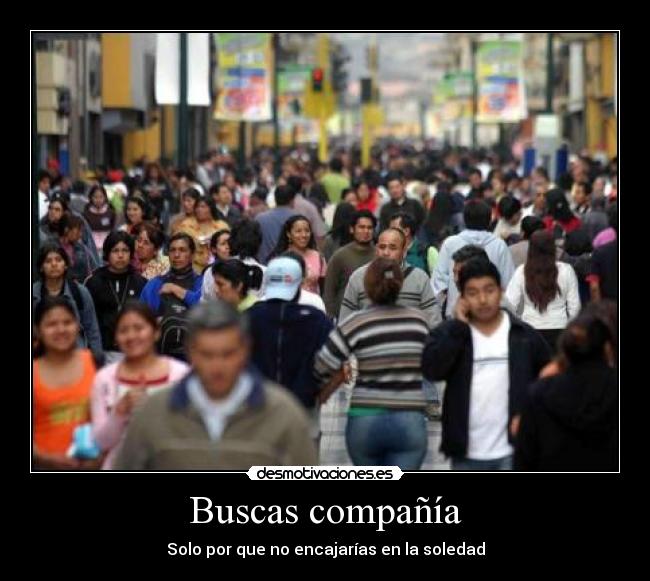 Buscas compañía - Solo por que no encajarías en la soledad