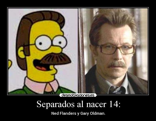 Separados al nacer 14: -