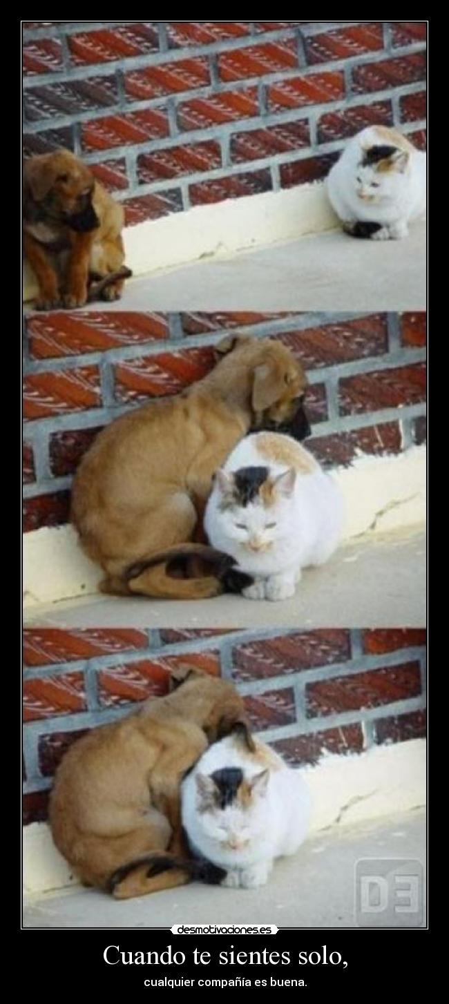 Cuando te sientes solo, - 