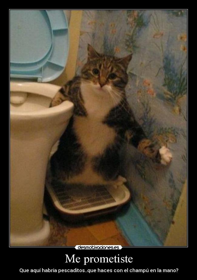 Me prometiste - Que aquí habría pescaditos..que haces con el champú en la mano?