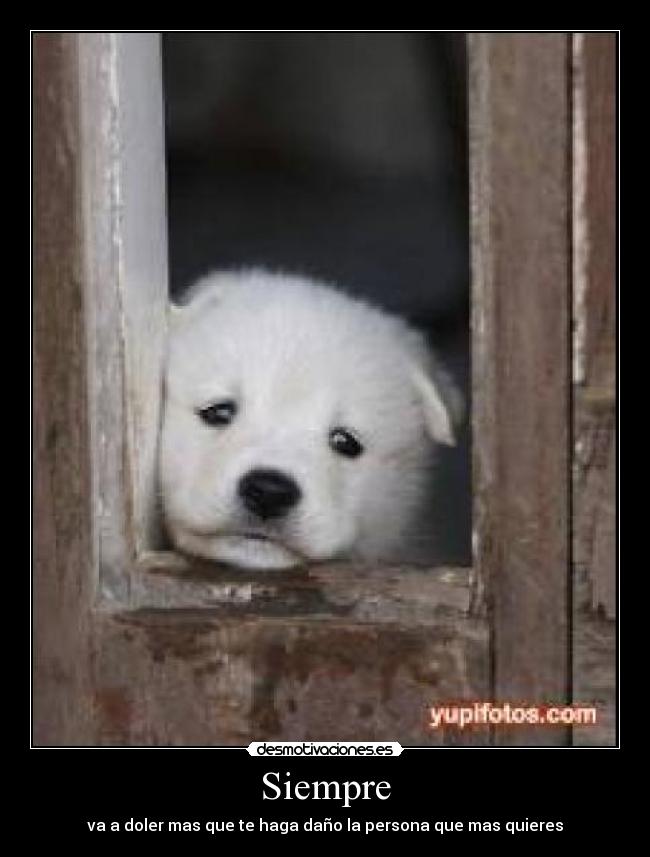 Siempre - va a doler mas que te haga daño la persona que mas quieres
