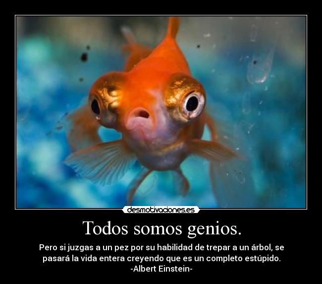 Todos somos genios. - Pero si juzgas a un pez por su habilidad de trepar a un árbol, se
pasará la vida entera creyendo que es un completo estúpido.
-Albert Einstein-