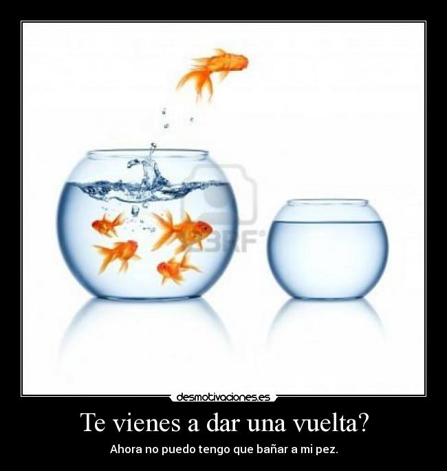 carteles ahora puedo desmotivaciones