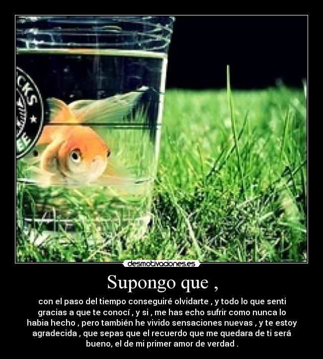 Supongo que , - con el paso del tiempo conseguiré olvidarte , y todo lo que senti
gracias a que te conocí , y si , me has echo sufrir como nunca lo
habia hecho , pero también he vivido sensaciones nuevas , y te estoy
agradecida , que sepas que el recuerdo que me quedara de ti será
bueno, el de mi primer amor de verdad .