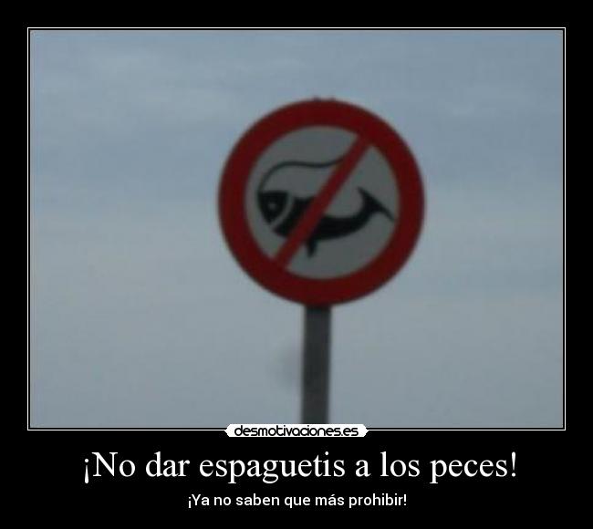 ¡No dar espaguetis a los peces! - 