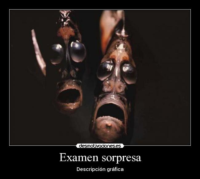 Examen sorpresa -