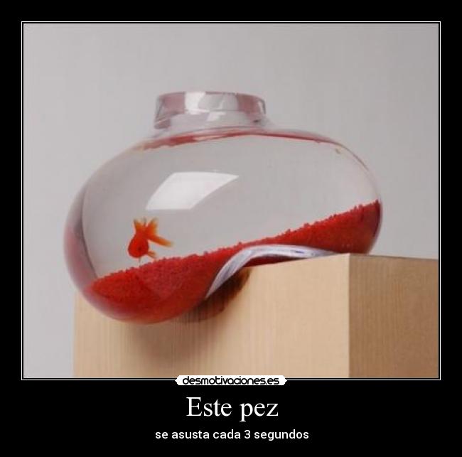 Este pez -