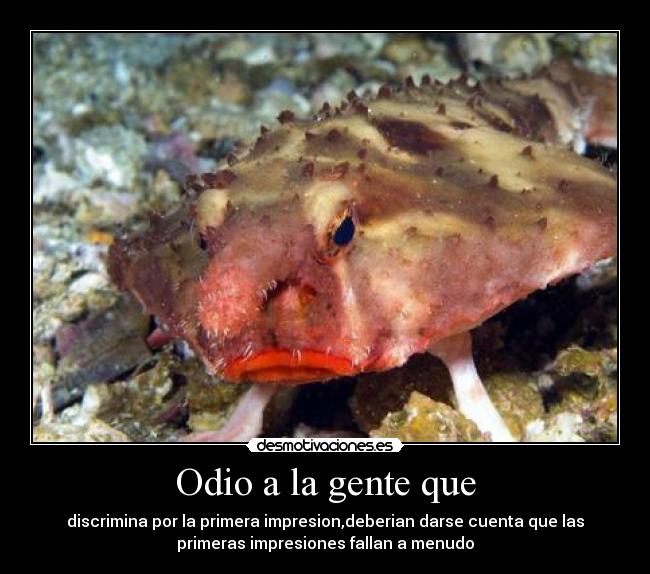 carteles odio gente discriminatoria desmotivaciones