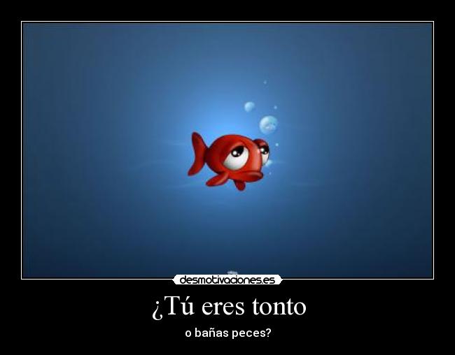 ¿Tú eres tonto - o bañas peces?