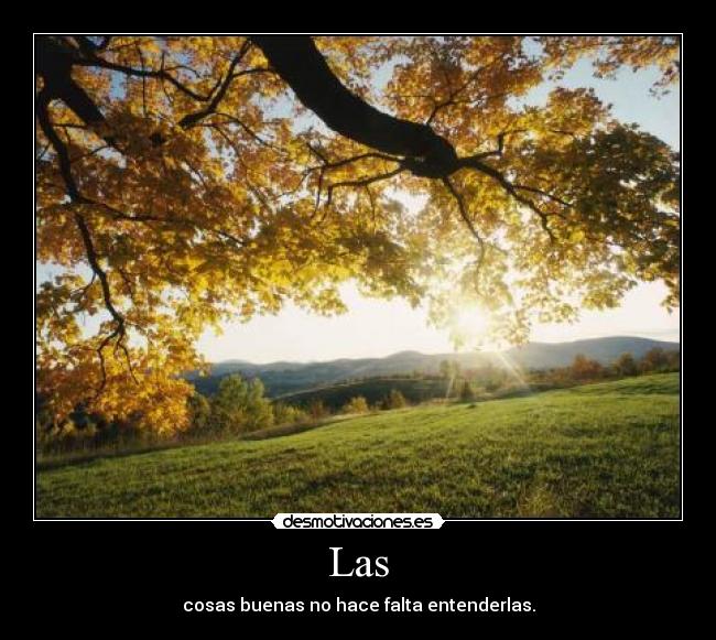 Las - 