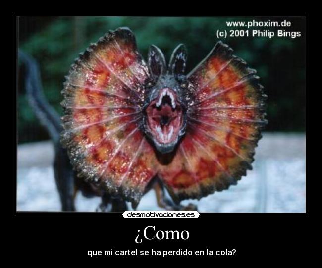¿Como -
