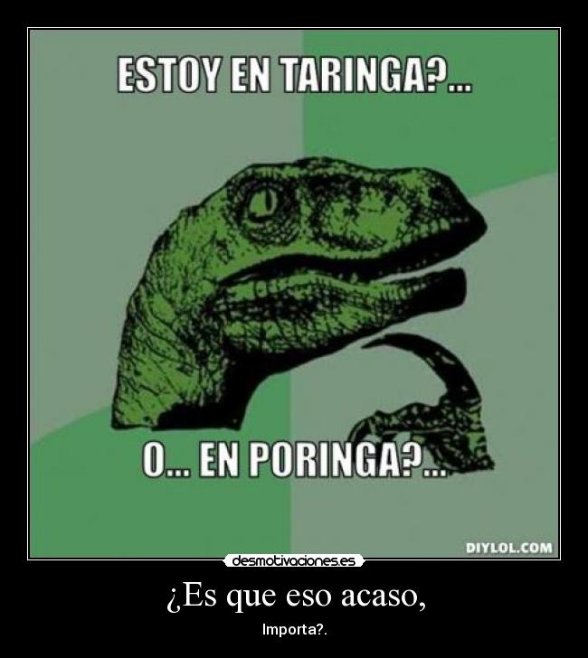 carteles philosoraptor desmotivaciones