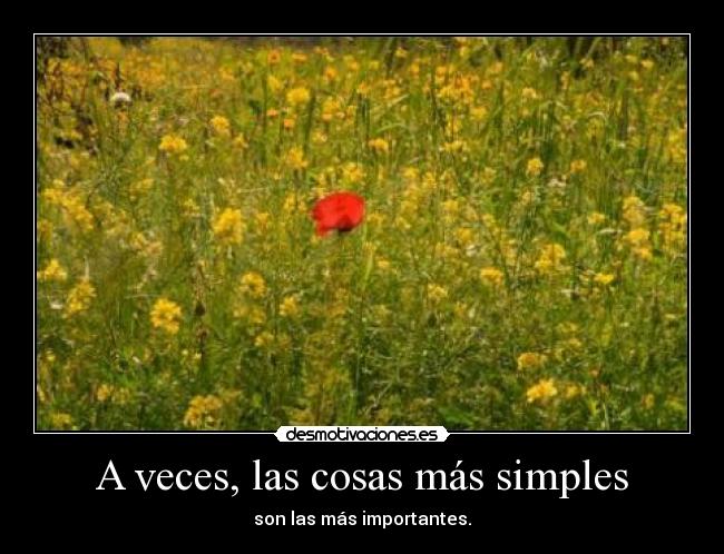 carteles irenexd desmotivaciones