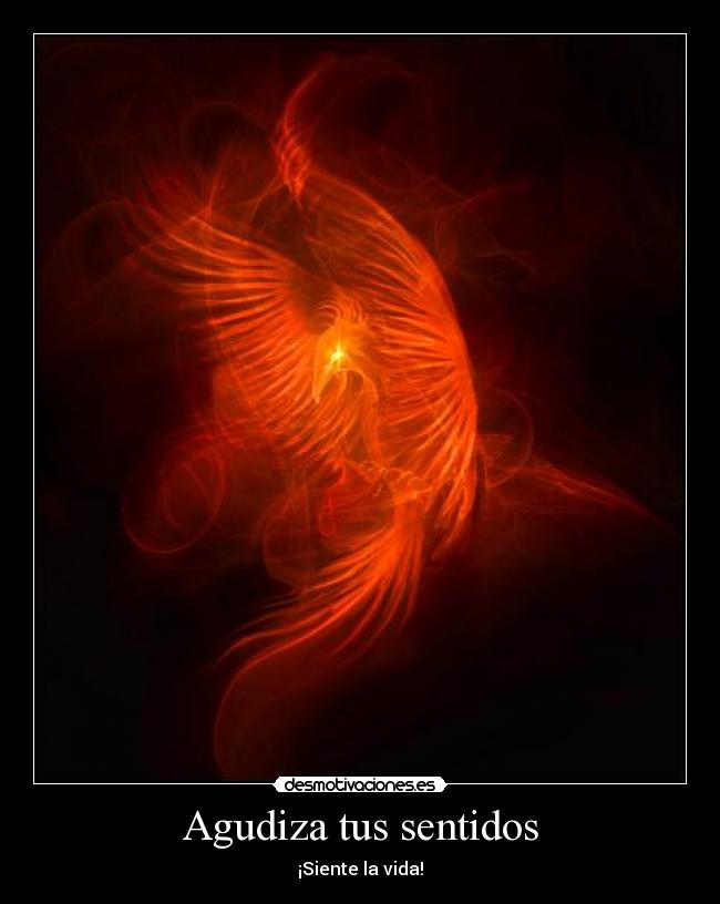 Agudiza tus sentidos - 