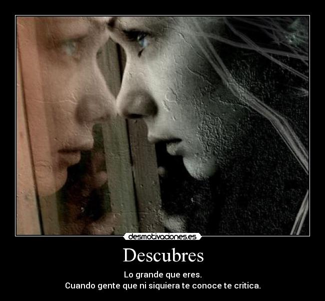 Descubres -
