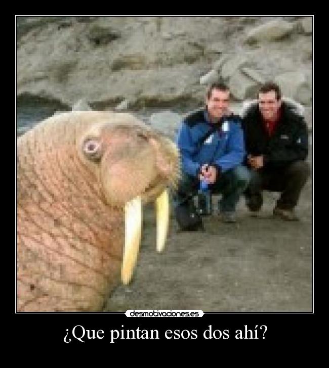 ¿Que pintan esos dos ahí? -