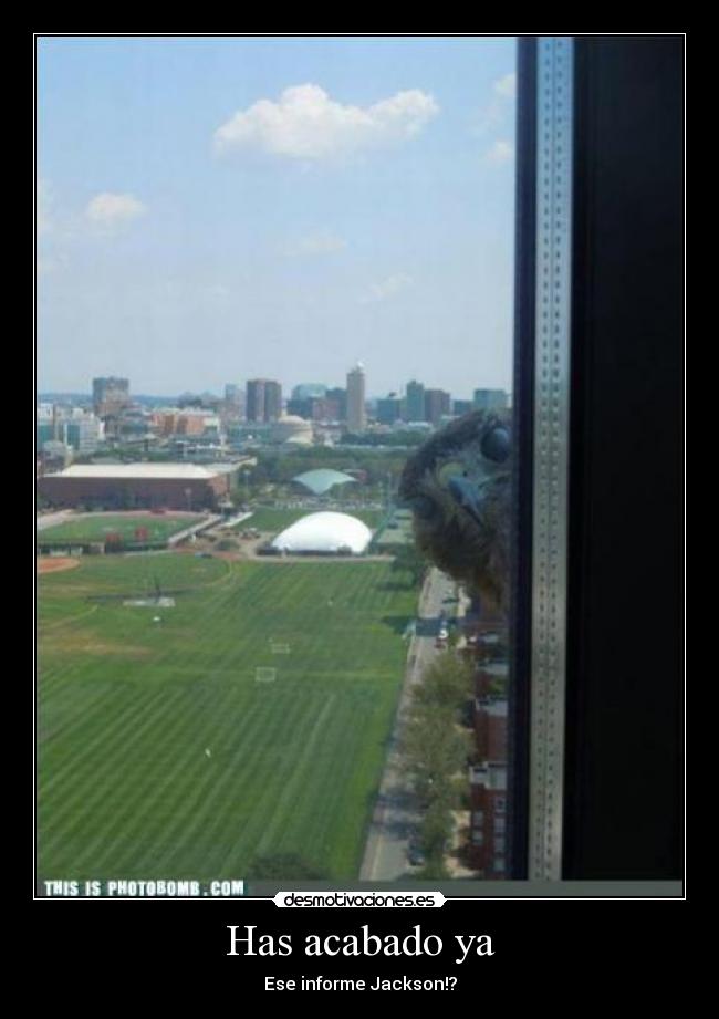 Has acabado ya - Ese informe Jackson!?