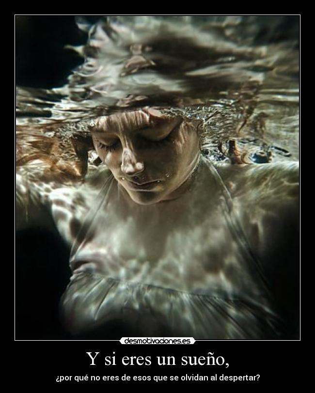 carteles quiero olvidarte para siempre ariadnap desmotivaciones