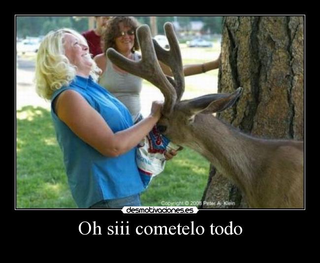 Oh siii cometelo todo -