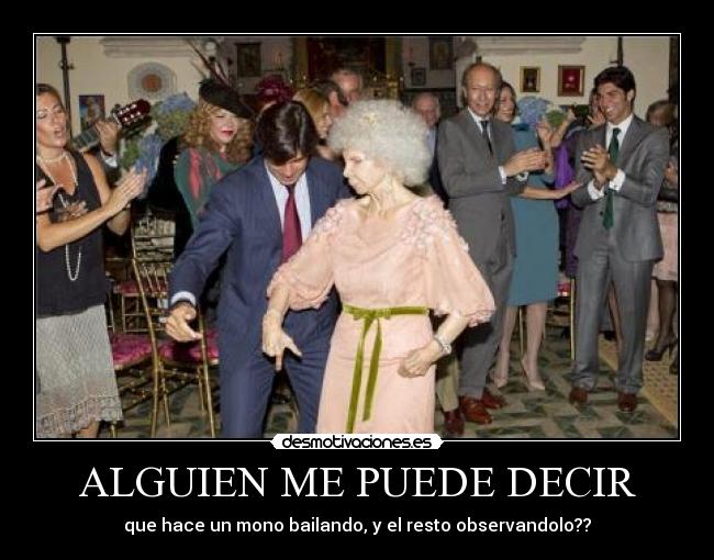 ALGUIEN ME PUEDE DECIR - que hace un mono bailando, y el resto observandolo??