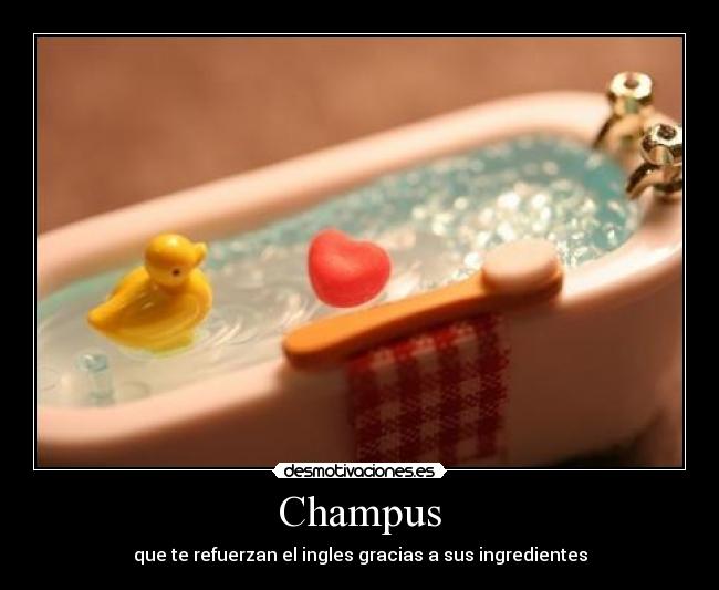 Champus - que te refuerzan el ingles gracias a sus ingredientes
