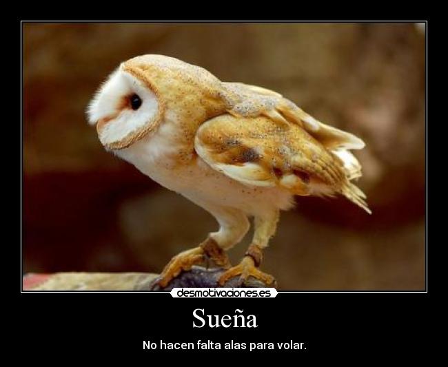 Sueña - 