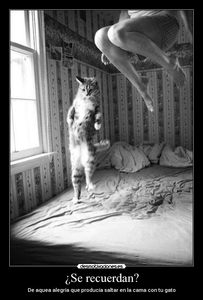 ¿Se recuerdan? - 