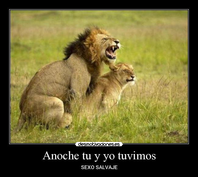 Anoche tu y yo tuvimos - SEXO SALVAJE