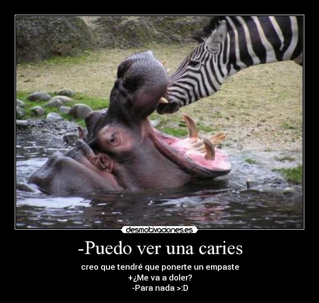 -Puedo ver una caries - 