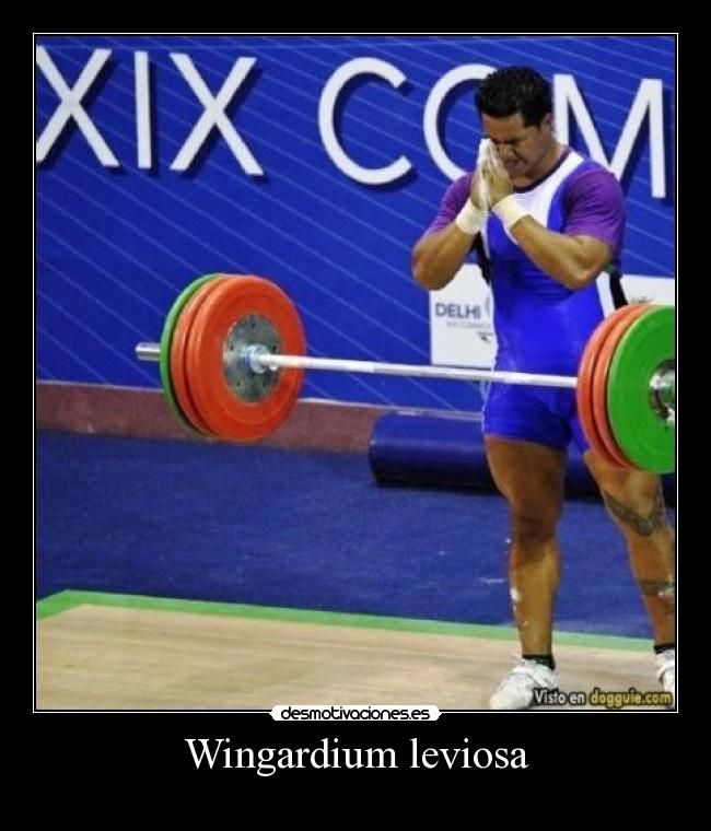 carteles wingardium leviosa desmotivaciones
