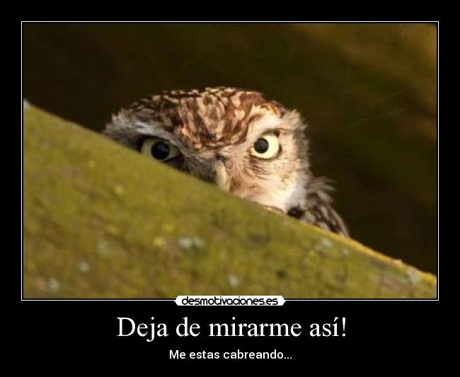 Deja de mirarme así! - Me estas cabreando...