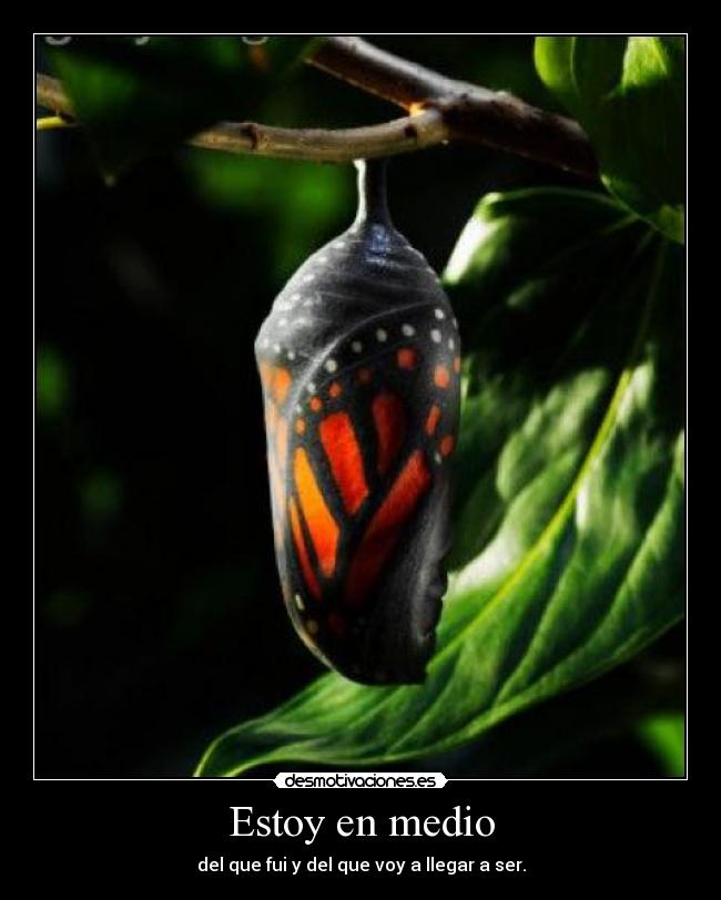 Estoy en medio - del que fui y del que voy a llegar a ser.