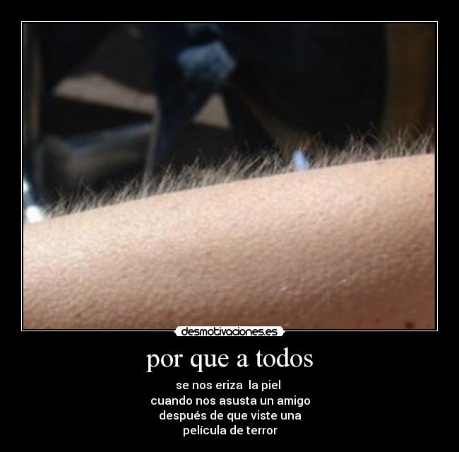 carteles por que todos desmotivaciones