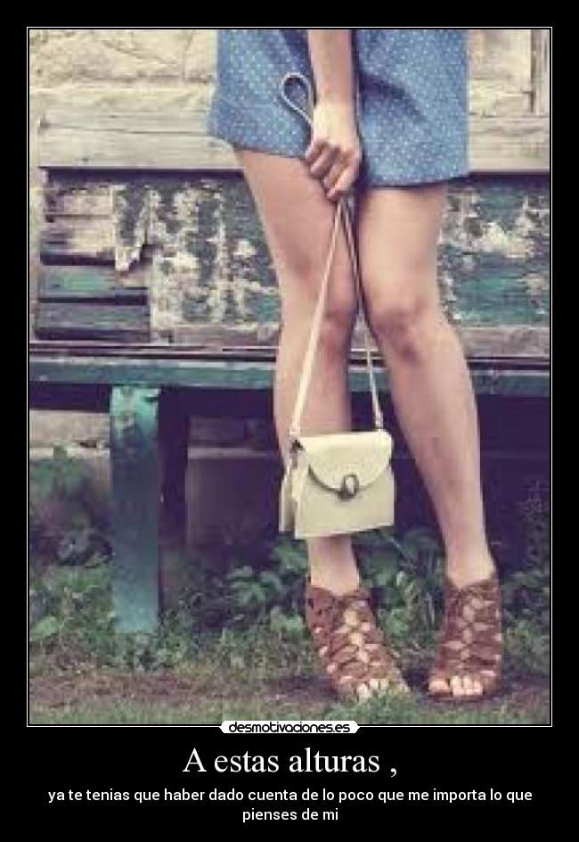 A estas alturas , - ya te tenias que haber dado cuenta de lo poco que me importa lo que pienses de mi