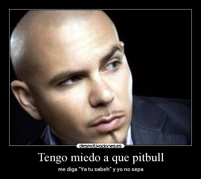 Tengo miedo a que pitbull - me diga Ya tu sabeh y yo no sepa