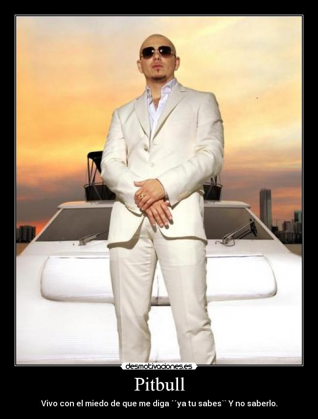 Pitbull -
