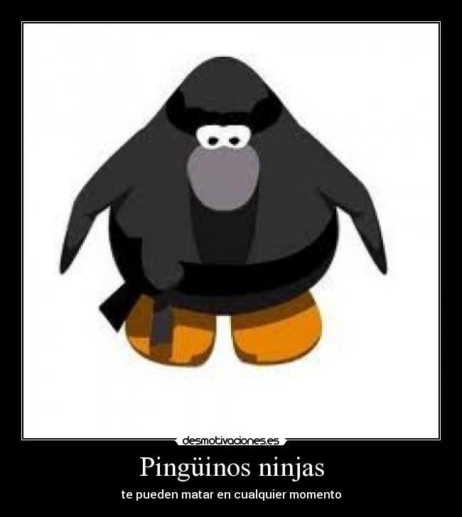 carteles pinguino ninja matar desmotivaciones